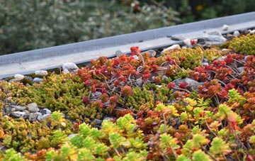 the cost of Upper Halling green roof installation