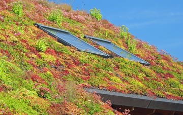 Upper Halling living roof systems